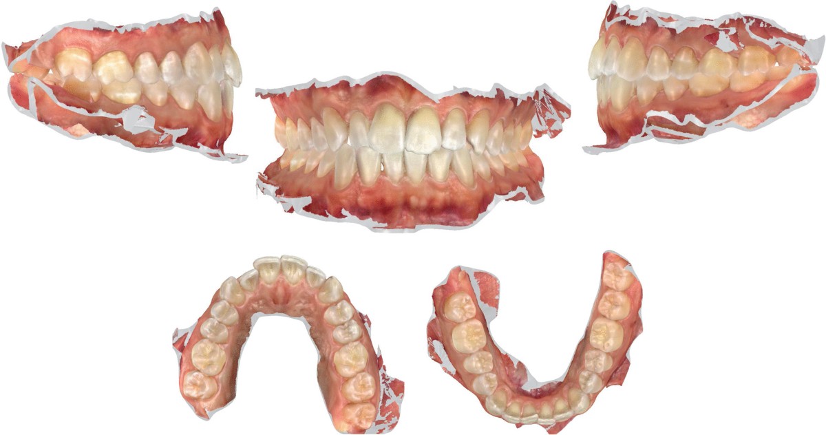 12903_2021_2034_Fig3_HTML